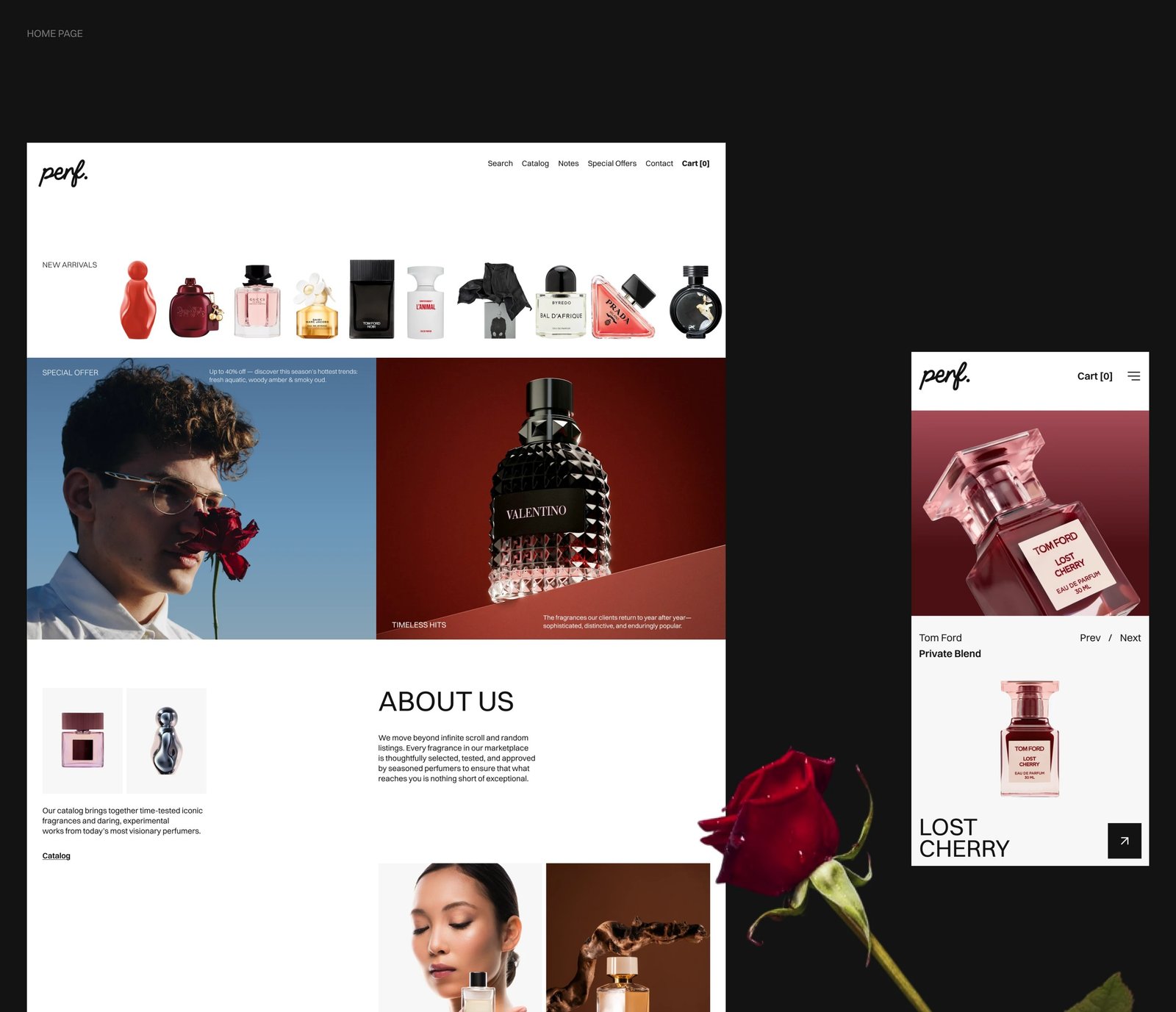 Website Design portfolio sample